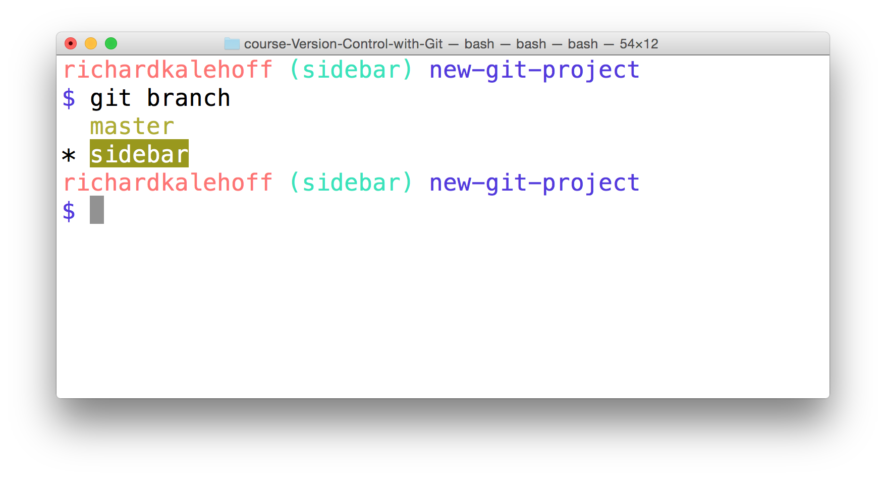 _The Terminal application showing the output of the `git branch` command. The active branch (in this case, the "sidebar" branch) has an asterisk next to it._